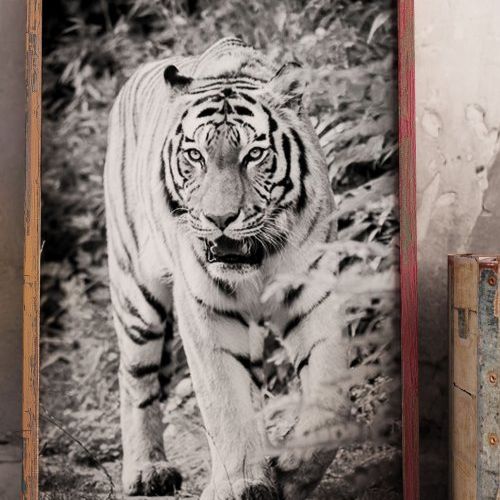 POSTER FOTOGRAFICO GRAN FORMATO